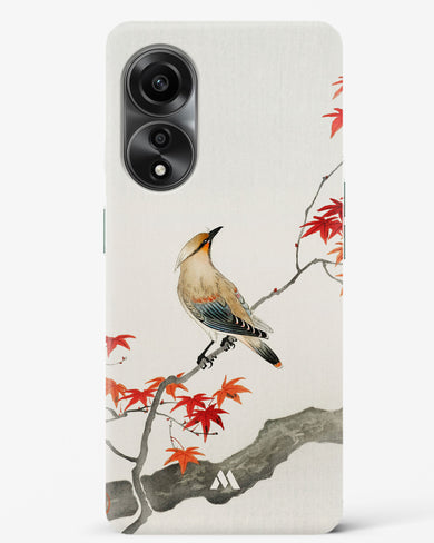 Japanese Plague bird On Maple [Ohara Koson] Hard Case Phone Cover (Oppo)