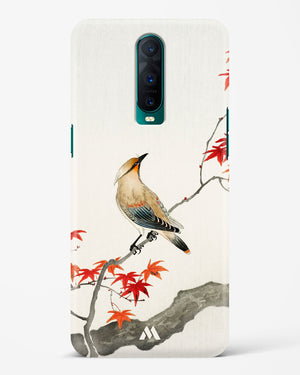 Japanese Plague bird On Maple [Ohara Koson] Hard Case Phone Cover (Oppo)