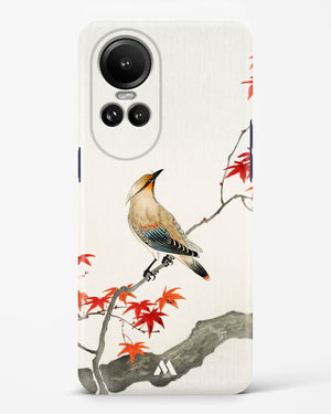 Japanese Plague bird On Maple [Ohara Koson] Hard Case Phone Cover-(Oppo)