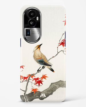 Japanese Plague bird On Maple [Ohara Koson] Hard Case Phone Cover (Oppo)