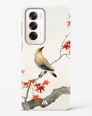 Japanese Plague bird On Maple [Ohara Koson] Hard Case Phone Cover (Oppo)