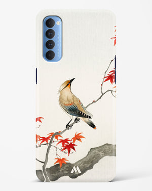 Japanese Plague bird On Maple [Ohara Koson] Hard Case Phone Cover (Oppo)