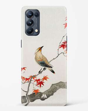 Japanese Plague bird On Maple [Ohara Koson] Hard Case Phone Cover-(Oppo)