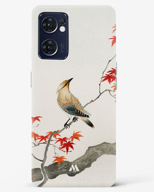 Japanese Plague bird On Maple [Ohara Koson] Hard Case Phone Cover (Oppo)
