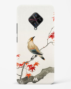 Japanese Plague bird On Maple [Ohara Koson] Hard Case Phone Cover (Vivo)