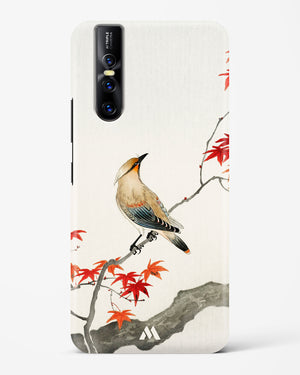 Japanese Plague bird On Maple [Ohara Koson] Hard Case Phone Cover (Vivo)