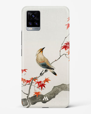 Japanese Plague bird On Maple [Ohara Koson] Hard Case Phone Cover (Vivo)