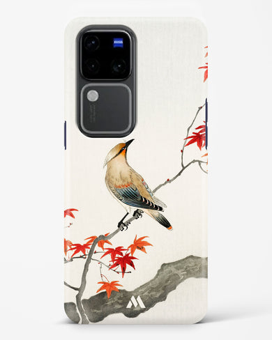 Japanese Plague bird On Maple [Ohara Koson] Hard Case Phone Cover (Vivo)