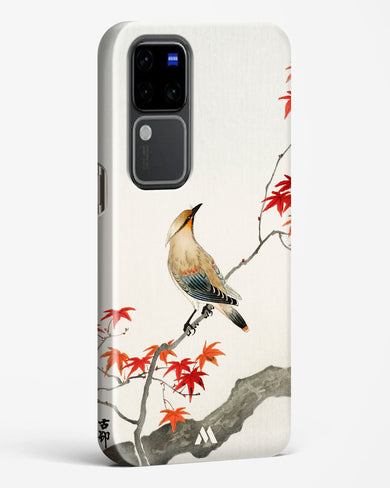 Japanese Plague bird On Maple [Ohara Koson] Hard Case Phone Cover (Vivo)