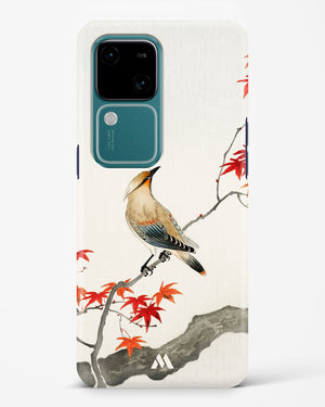 Japanese Plague bird On Maple [Ohara Koson] Hard Case Phone Cover (Vivo)
