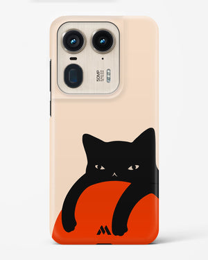Purrfect Chill Hard Case Phone Cover (Motorola)