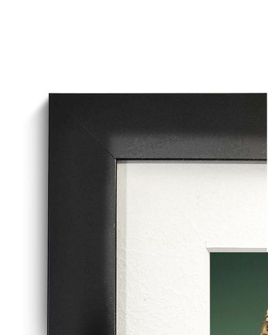 Shah Rukh City [AKIRA] Art-Poster