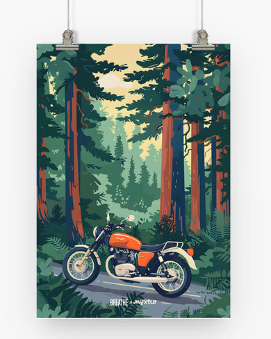 Forest Roadster [BREATHE] Art-Poster