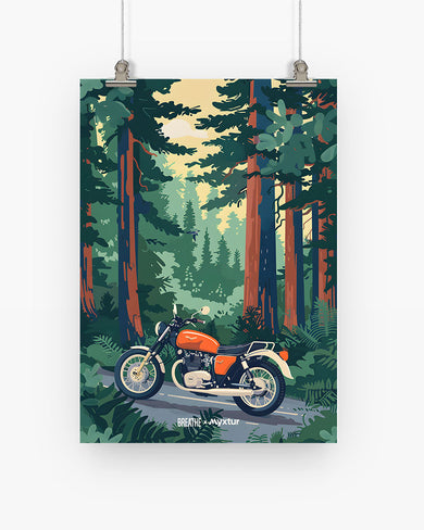 Forest Roadster [BREATHE] Art-Poster