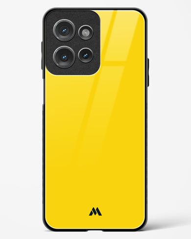 Pineapple Corns Glass Case Phone Cover (Motorola)