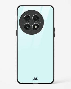 Arctic Seas Glass Case Phone Cover (OnePlus)