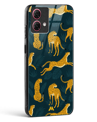 Cheetahs in the Wild Glass Case Phone Cover-(Motorola)