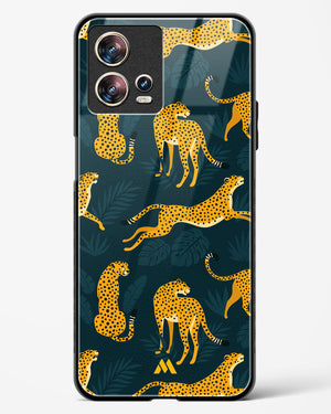 Cheetahs in the Wild Glass Case Phone Cover (Motorola)