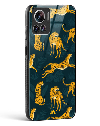 Cheetahs in the Wild Glass Case Phone Cover-(Motorola)