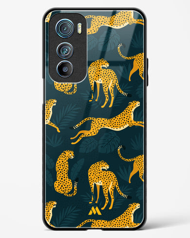 Cheetahs in the Wild Glass Case Phone Cover-(Motorola)