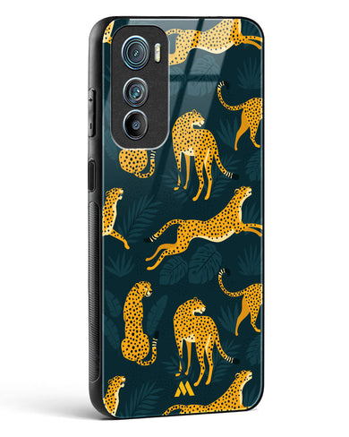 Cheetahs in the Wild Glass Case Phone Cover-(Motorola)