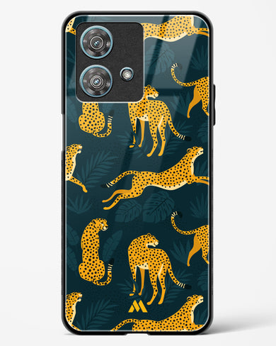 Cheetahs in the Wild Glass Case Phone Cover-(Motorola)