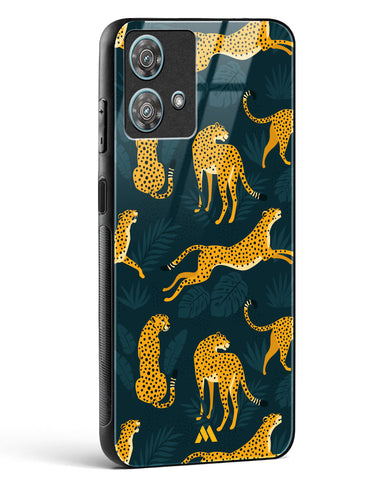 Cheetahs in the Wild Glass Case Phone Cover-(Motorola)