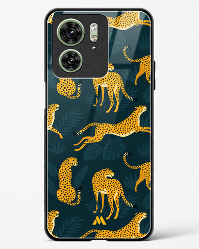 Cheetahs in the Wild Glass Case Phone Cover-(Motorola)