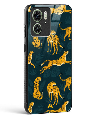 Cheetahs in the Wild Glass Case Phone Cover-(Motorola)