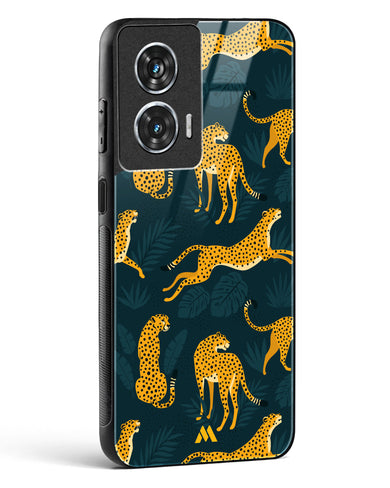 Cheetahs in the Wild Glass Case Phone Cover (Motorola)