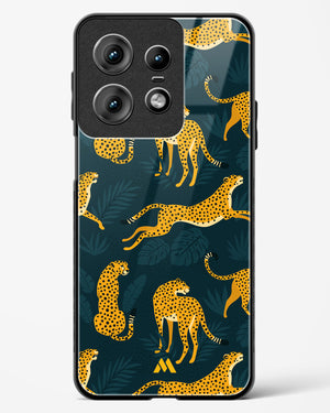 Cheetahs in the Wild Glass Case Phone Cover (Motorola)