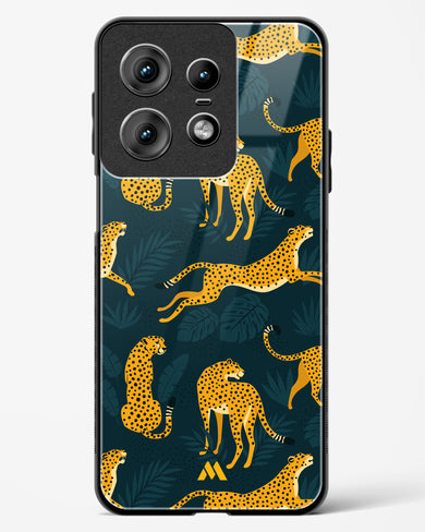 Cheetahs in the Wild Glass Case Phone Cover (Motorola)