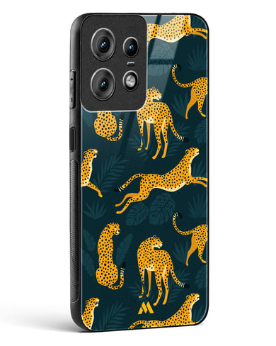 Cheetahs in the Wild Glass Case Phone Cover (Motorola)