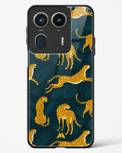 Cheetahs in the Wild Glass Case Phone Cover (Motorola)