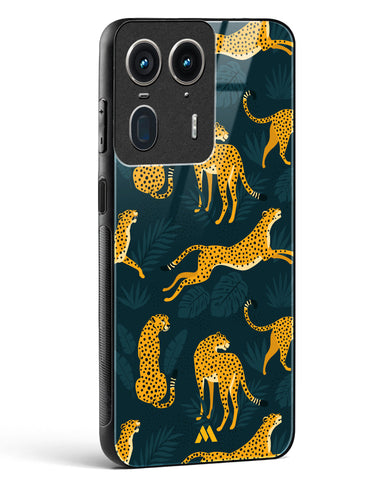Cheetahs in the Wild Glass Case Phone Cover (Motorola)