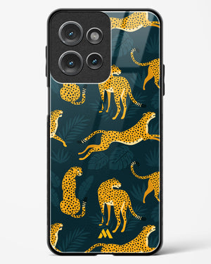 Cheetahs in the Wild Glass Case Phone Cover (Motorola)