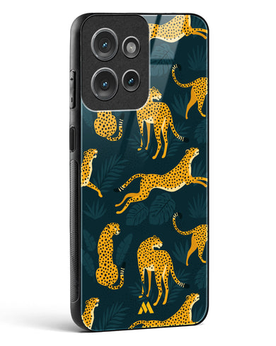 Cheetahs in the Wild Glass Case Phone Cover (Motorola)