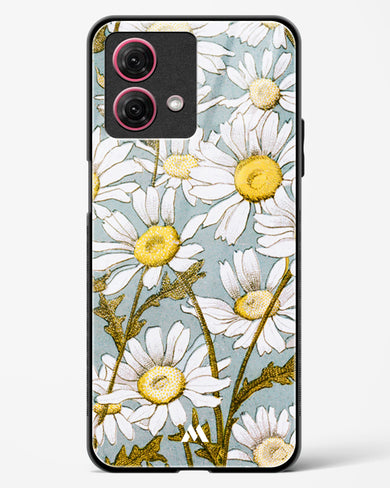 Daisy Flowers [L Prang & Co] Glass Case Phone Cover (Motorola)