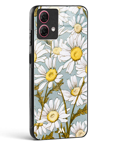 Daisy Flowers [L Prang & Co] Glass Case Phone Cover (Motorola)
