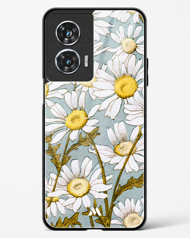 Daisy Flowers [L Prang & Co] Glass Case Phone Cover (Motorola)