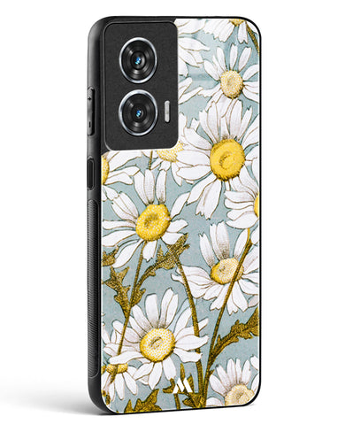 Daisy Flowers [L Prang & Co] Glass Case Phone Cover (Motorola)