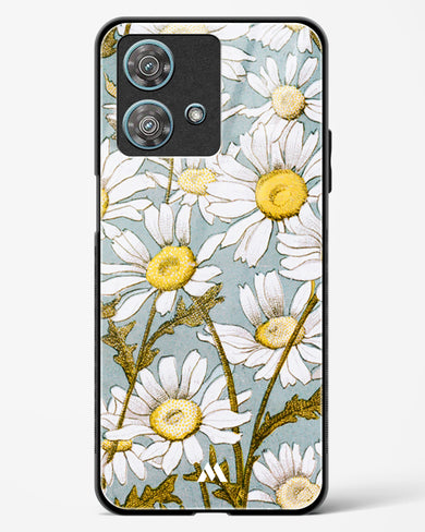 Daisy Flowers [L Prang & Co] Glass Case Phone Cover-(Motorola)