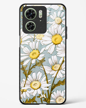 Daisy Flowers [L Prang & Co] Glass Case Phone Cover (Motorola)