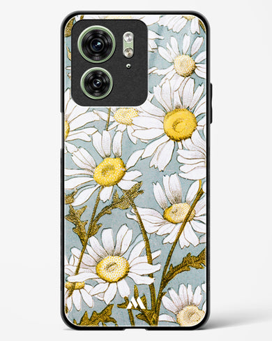 Daisy Flowers [L Prang & Co] Glass Case Phone Cover (Motorola)