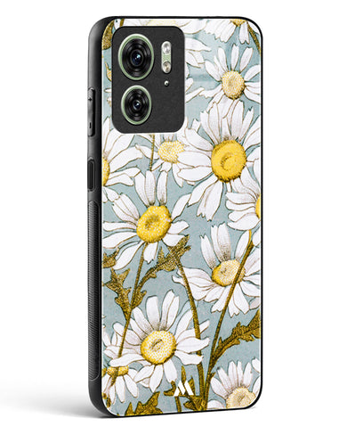 Daisy Flowers [L Prang & Co] Glass Case Phone Cover (Motorola)