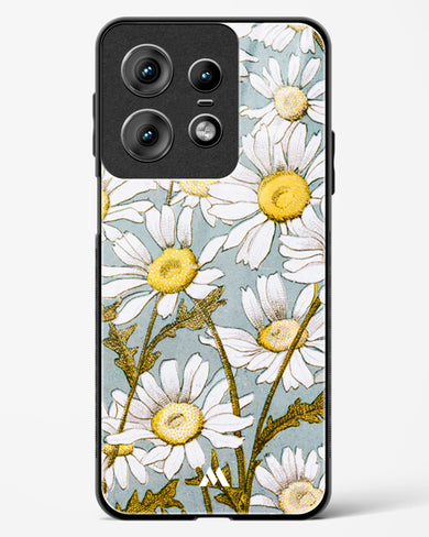 Daisy Flowers [L Prang & Co] Glass Case Phone Cover (Motorola)
