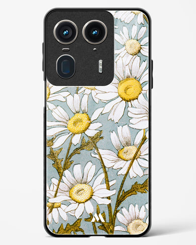 Daisy Flowers [L Prang & Co] Glass Case Phone Cover (Motorola)