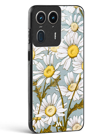Daisy Flowers [L Prang & Co] Glass Case Phone Cover (Motorola)