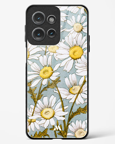 Daisy Flowers [L Prang & Co] Glass Case Phone Cover (Motorola)