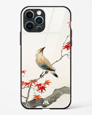 Japanese Plague bird On Maple [Ohara Koson] Glass Case Phone Cover-(Apple)